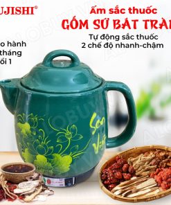 Siêu sắc thuốc điện Fujishi HK-33 3.3 lít 450w
