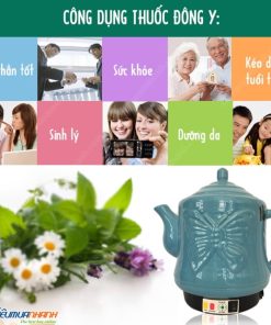 Siêu sắc thuốc tự động Như Ý NY-8868 Tùng Trúc