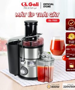 Máy ép trái cây GL-7023 0.6 lít 800w
