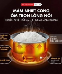 Nồi cơm điện Gali GL-1718N