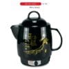 Siêu sắc thuốc GL-1801