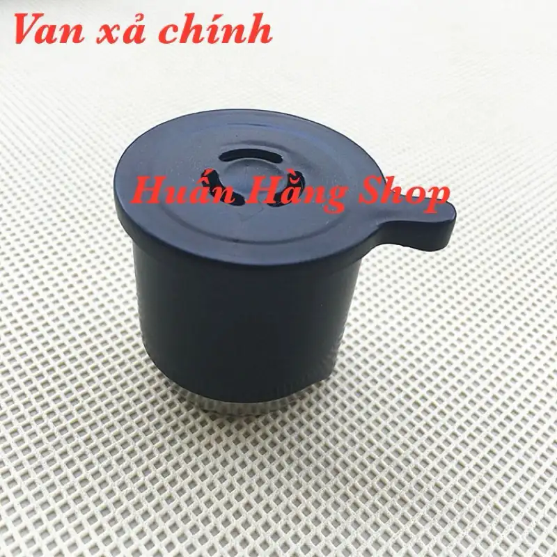 Van chính