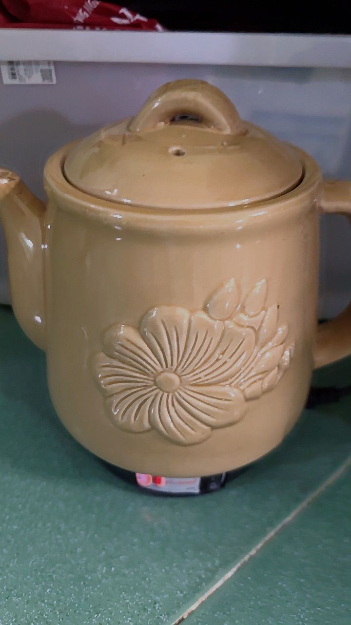 Siêu sắc thuốc điện GỐM SỨ BÁT TRÀNG Fujishi 3.2 lít HK-268/SV-803 Ấm thuốc điện nấu tự động ngắt