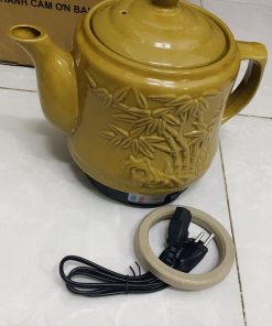 Ấm sắc thuốc điện GỐM SỨ BÁT TRÀNG Fujishi 2.8 lít HK-33BX TRÚC VÀNG