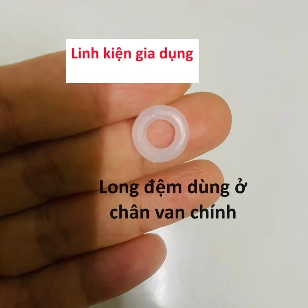 Long đệm chân van