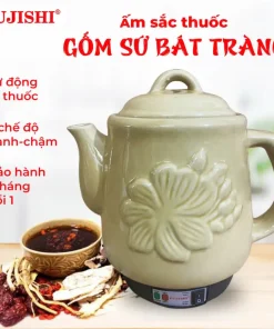 Siêu sắc thuốc điện GỐM SỨ BÁT TRÀNG Fujishi 3.2 lít HK-268/SV-803