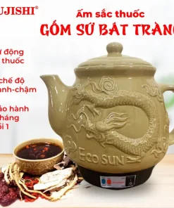 Siêu sắc thuốc điện GỐM SỨ BÁT TRÀNG Fujishi 3.2 lít HK-088