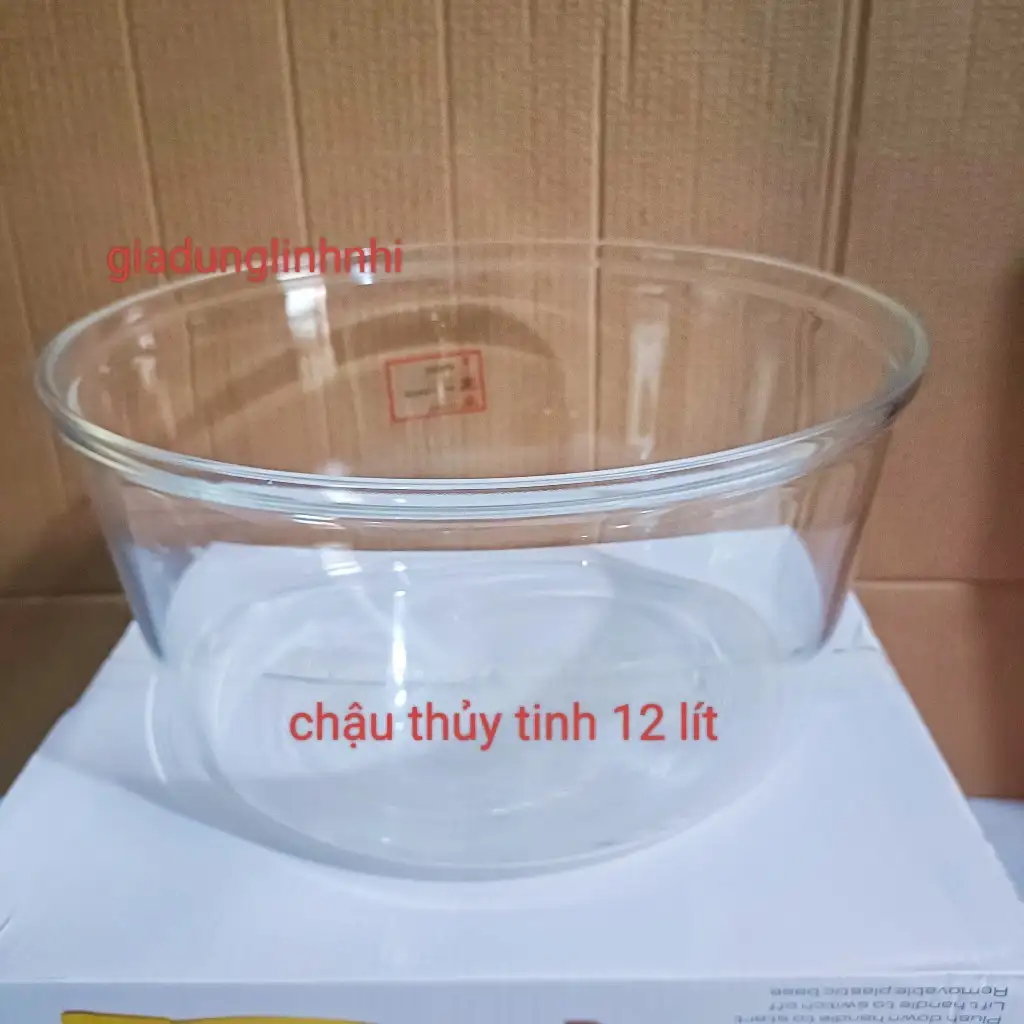 Chậu thủy tinh