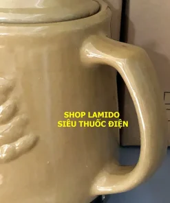 Siêu sắc thuốc điện GỐM SỨ BÁT TRÀNG Fujishi 3.2 lít HK-268/SV-803 Ấm thuốc điện nấu tự động ngắt