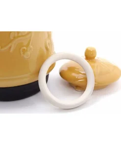 Vòng Sứ Ấm Sắc Thuốc Đa Năng Trường Thọ