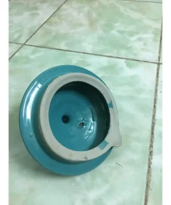 Nắp ấm của ấm sắc thuốc Trường Thọ