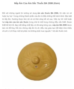 Nắp ấm của ấm sắc thuốc màu ngẫu nhiên