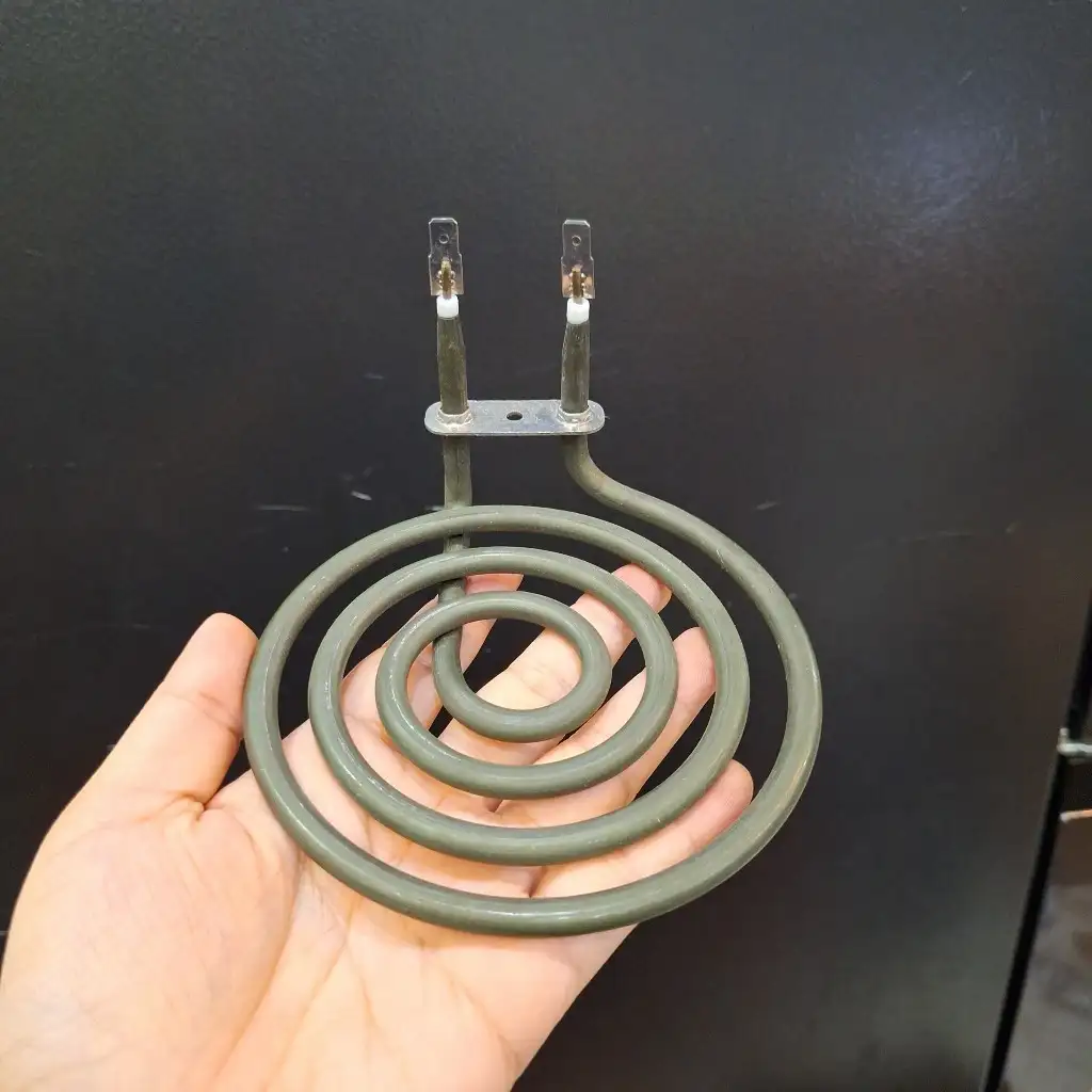 Cong 12cm- Cắm