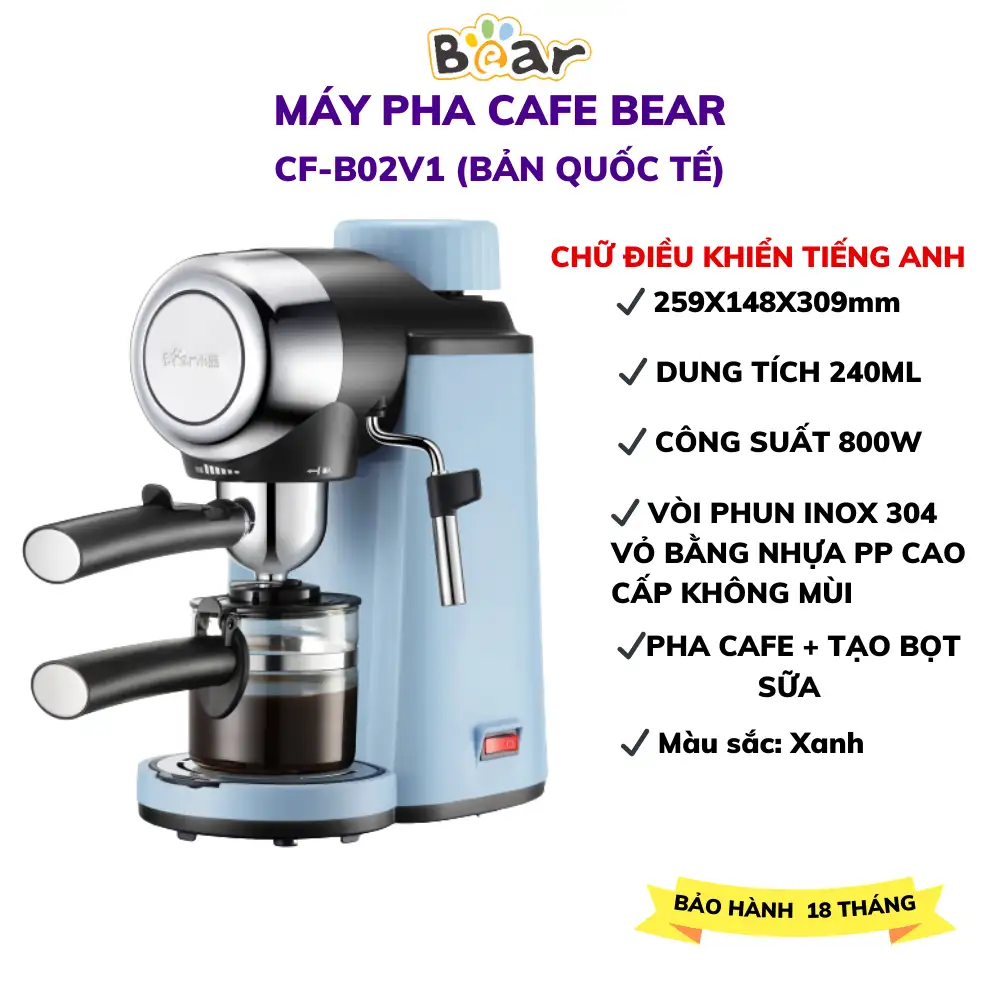 Bear B02V1- quốc tế